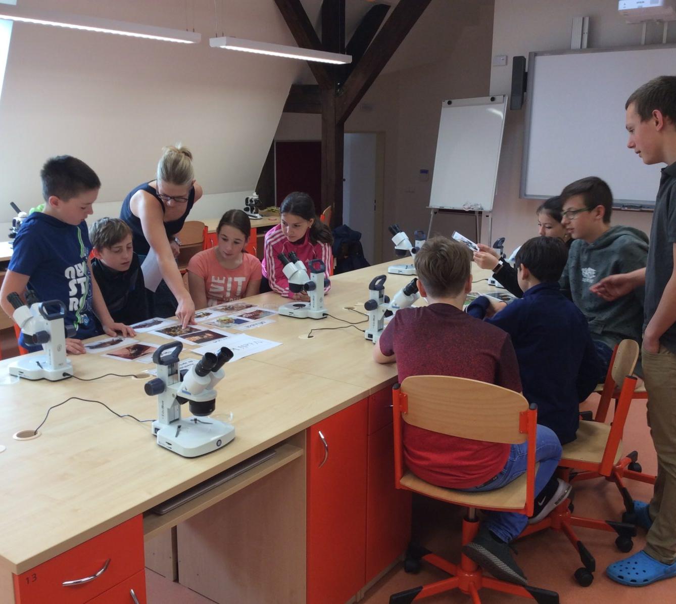 Svět včel - žáci 6. třídy - 3