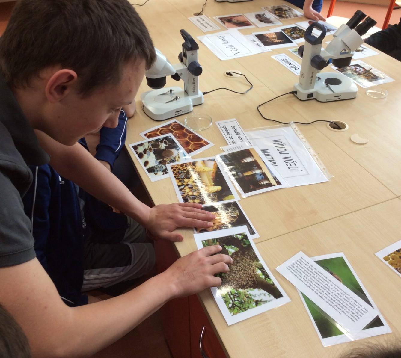 Svět včel - žáci 6. třídy - 4