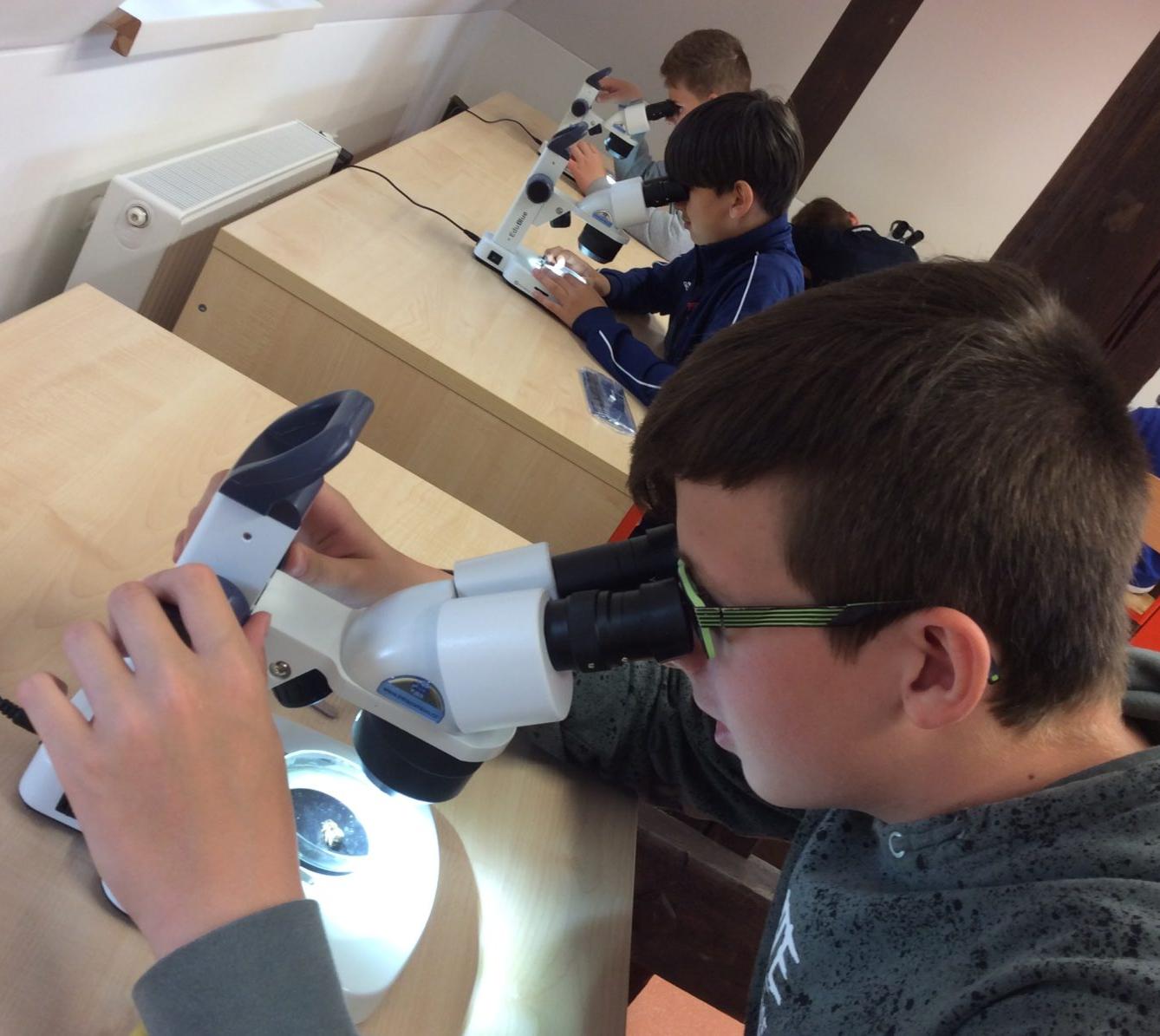 Svět včel - žáci 6. třídy - 8