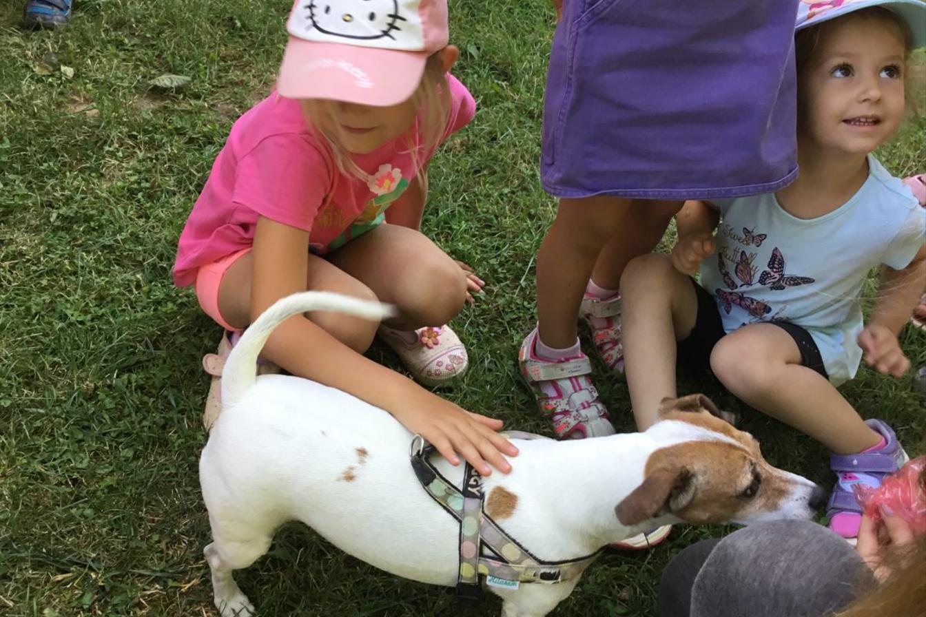 Vzpomínka na prázdniny - cvičení s pejskem