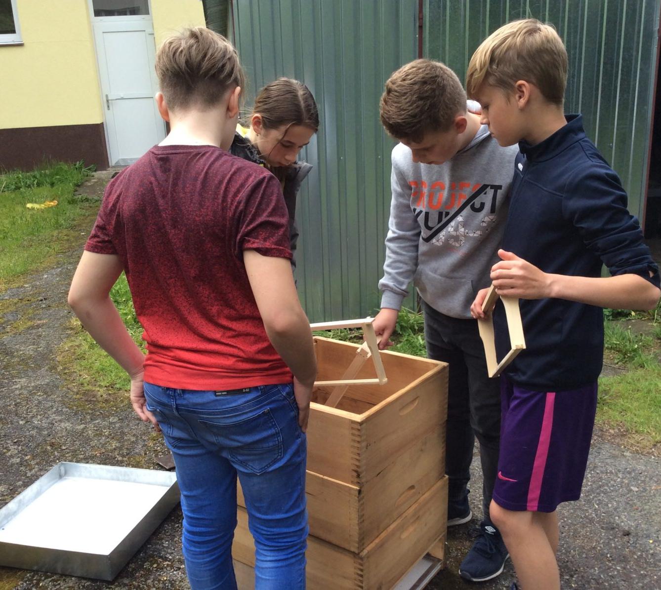 Svět včel - žáci 6. třídy - 11