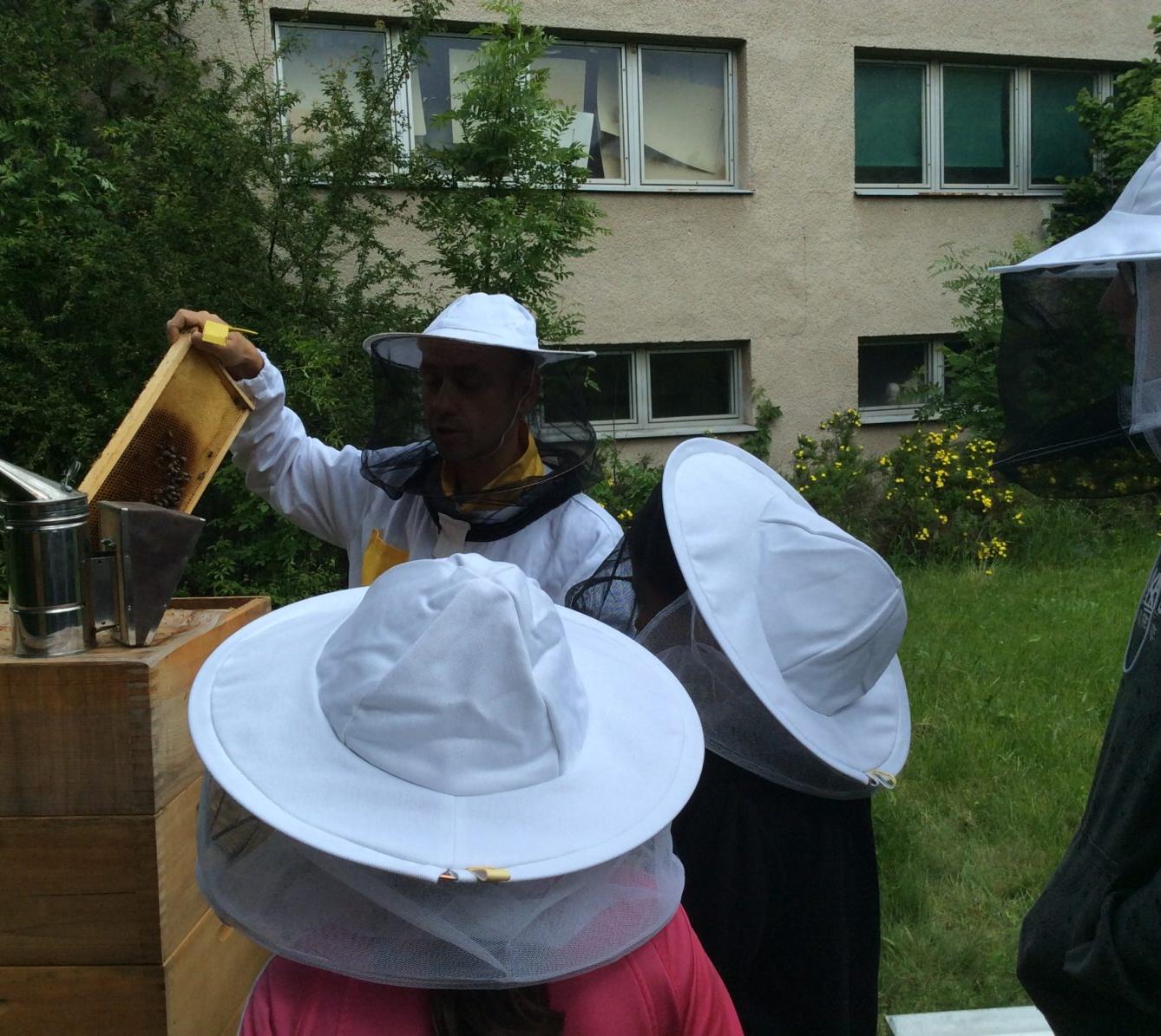 Svět včel - žáci 6. třídy - 14