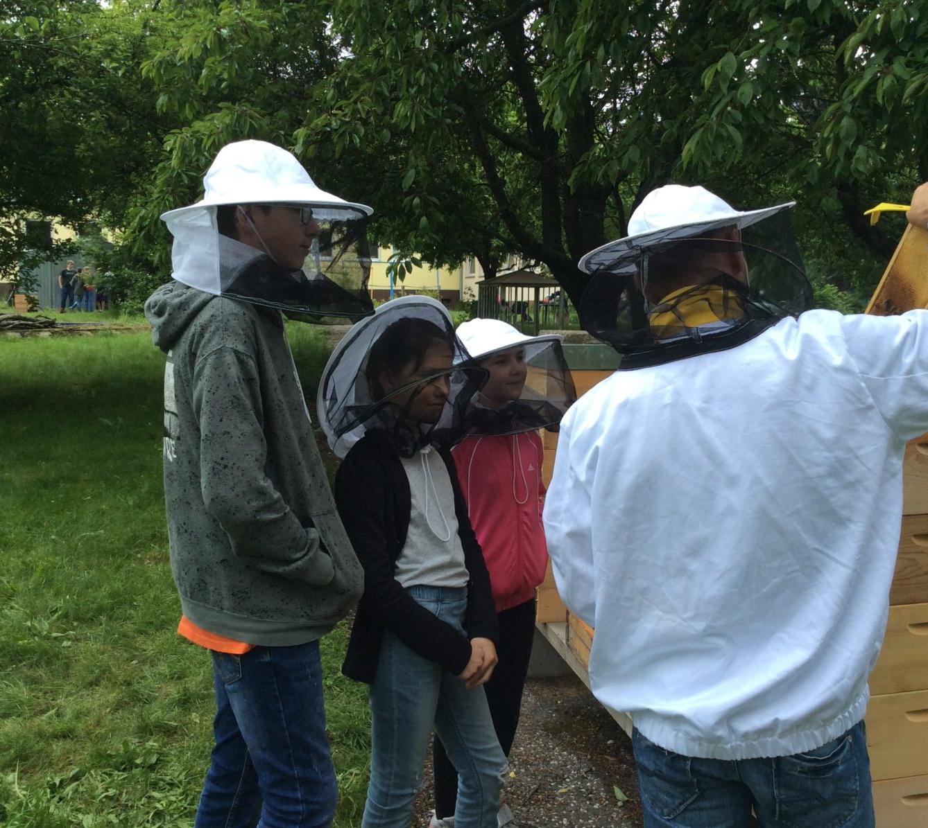 Svět včel - žáci 6. třídy - 15