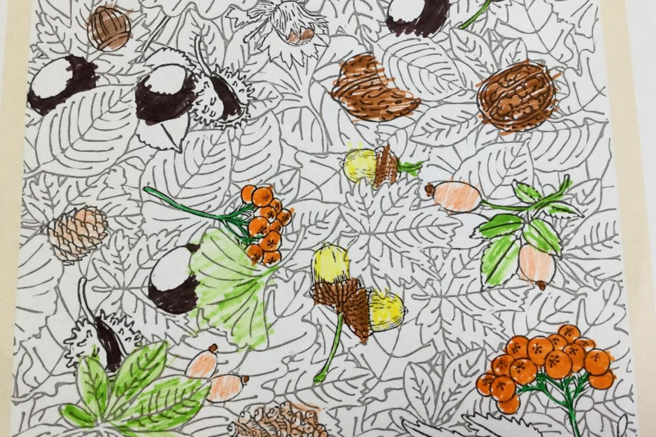 16. 11. distanční výuka v 1. třídě