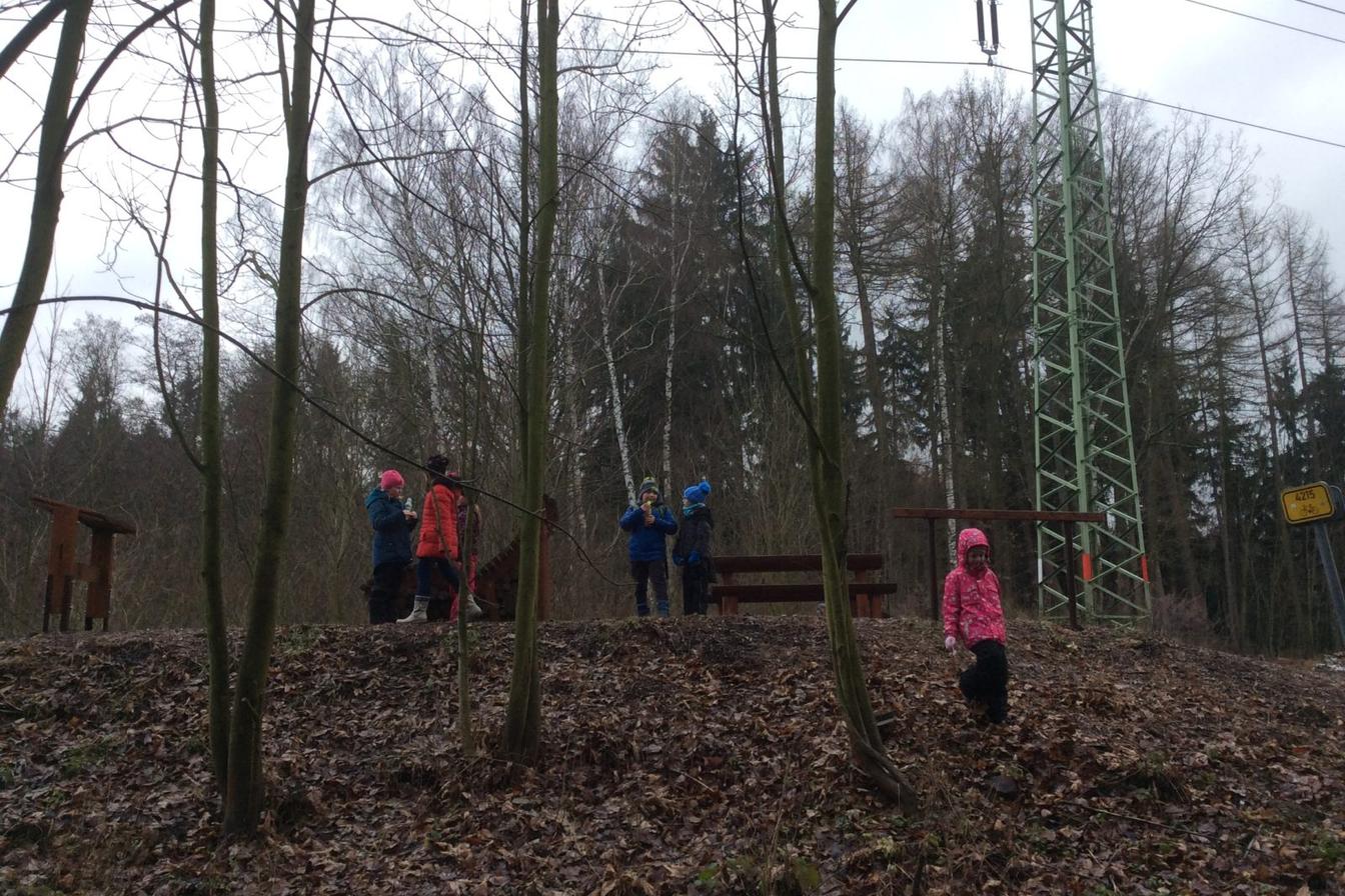 Vycházka k lesu