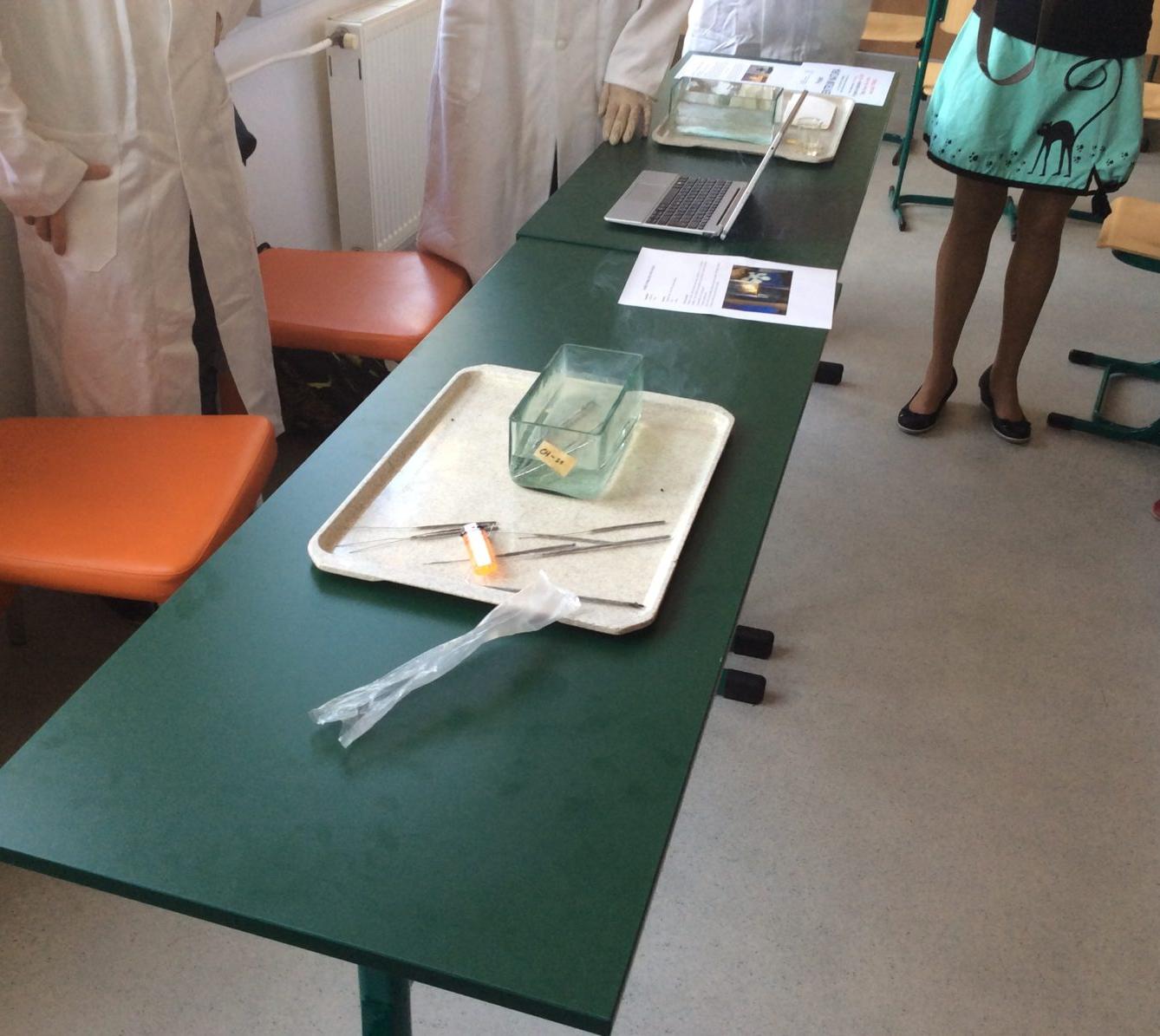 Odpoledne s pokusy Přírodovědného kroužku - 22