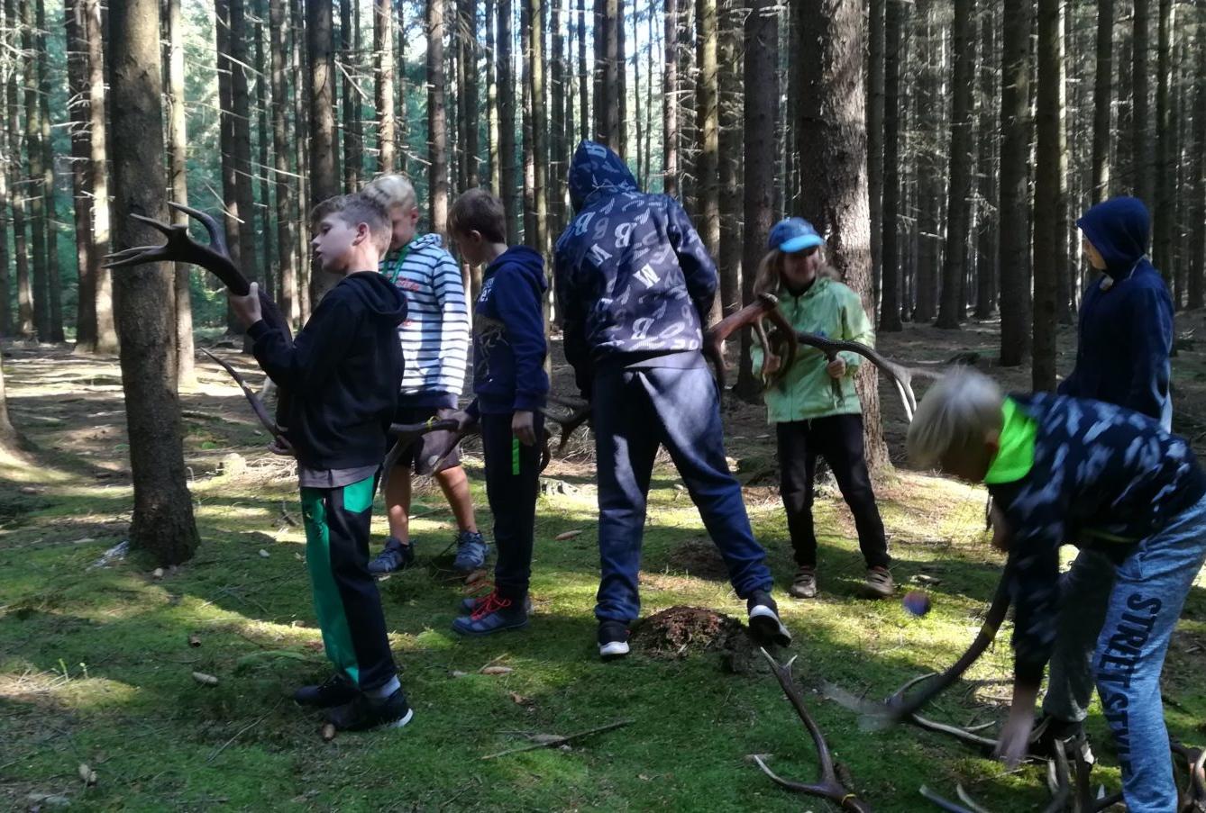 Do lesa s lesníkem - 1