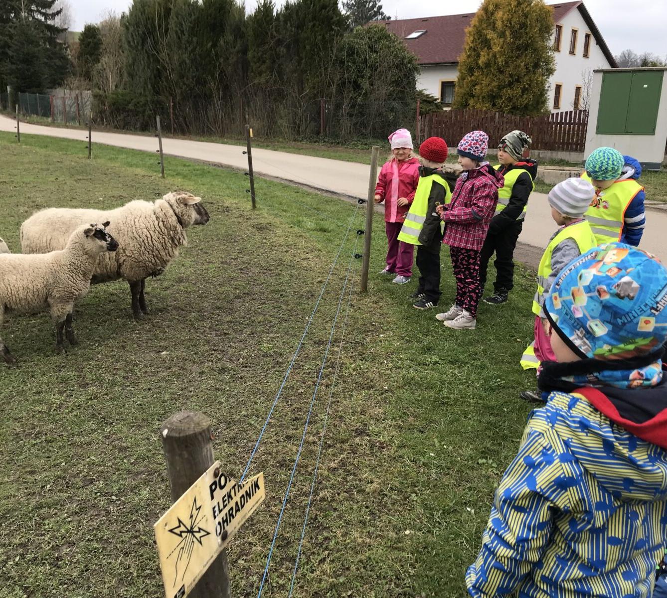 PŘEDŠKOLÁCI ,,VÝPRAVY ZA ZVÍŘÁTKY" - 1