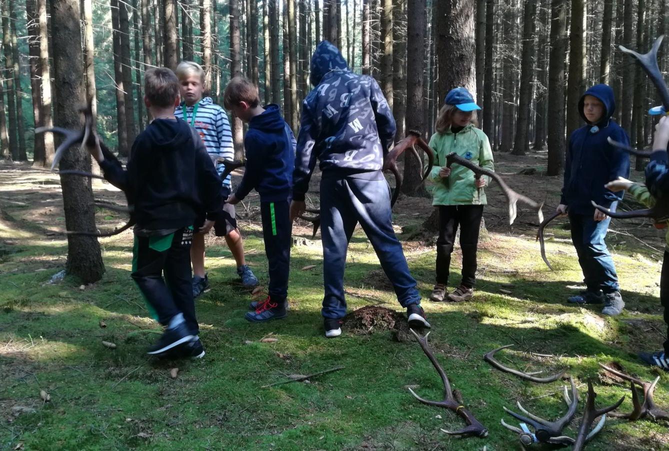 Do lesa s lesníkem - 2