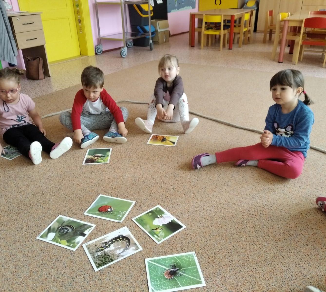 broučci-jarní louka - 3