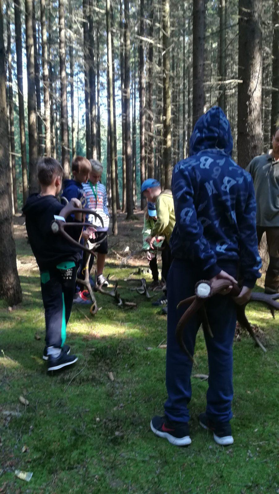 Do lesa s lesníkem - 3