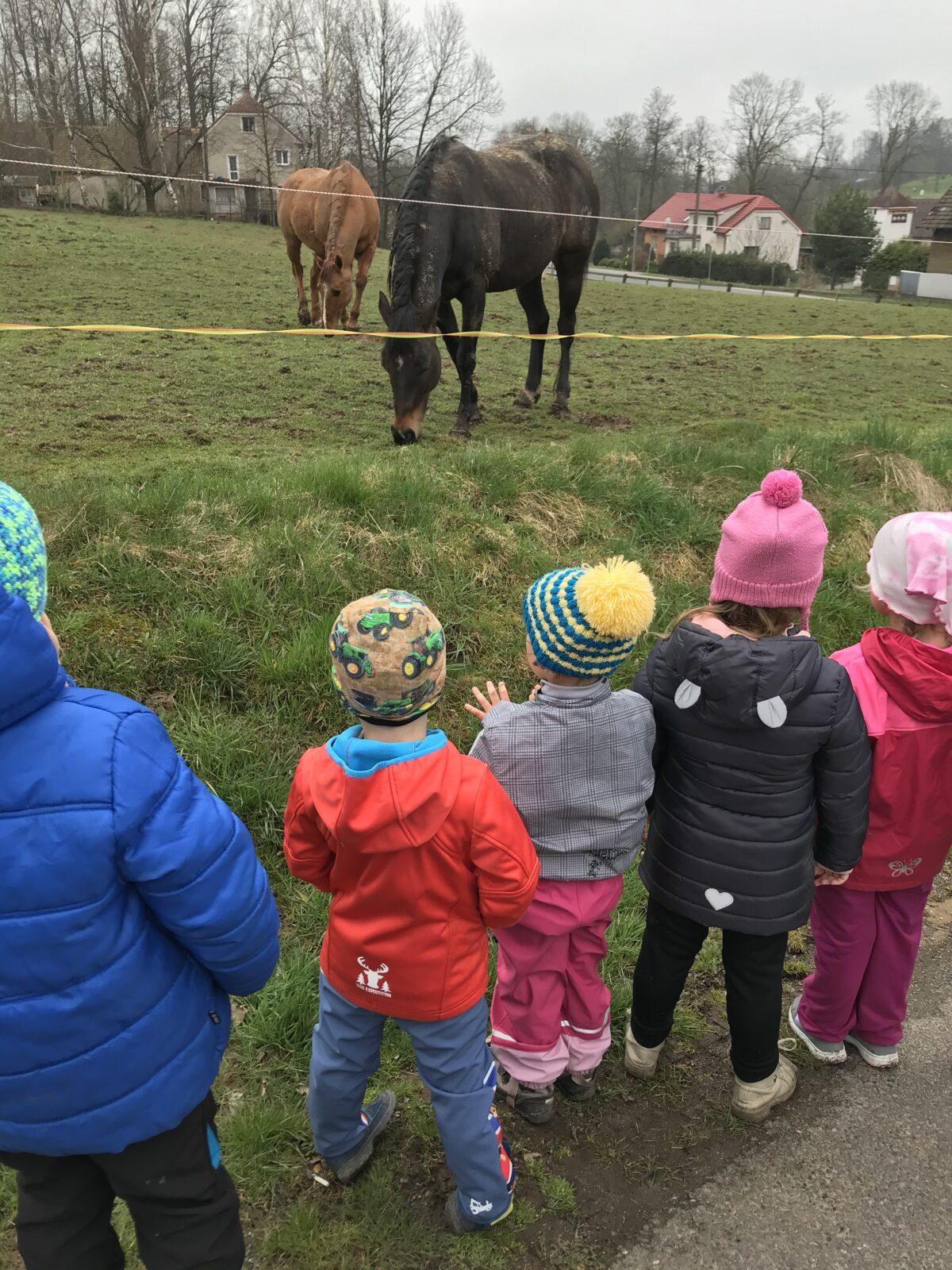 PŘEDŠKOLÁCI ,,VÝPRAVY ZA ZVÍŘÁTKY" - 2