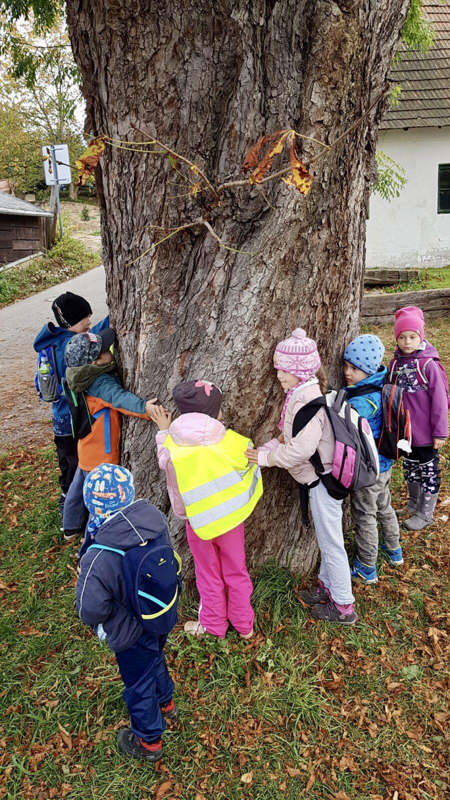 SOVIČKY: ,,LISTÍ ŽLOUTNE POLETUJE" - 2