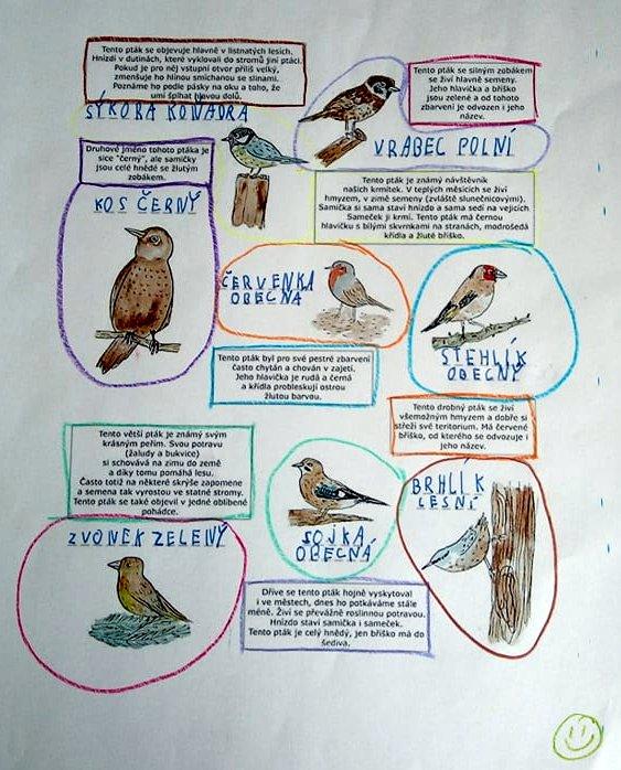 Činnosti u třeťáčků 6. 6. - 17