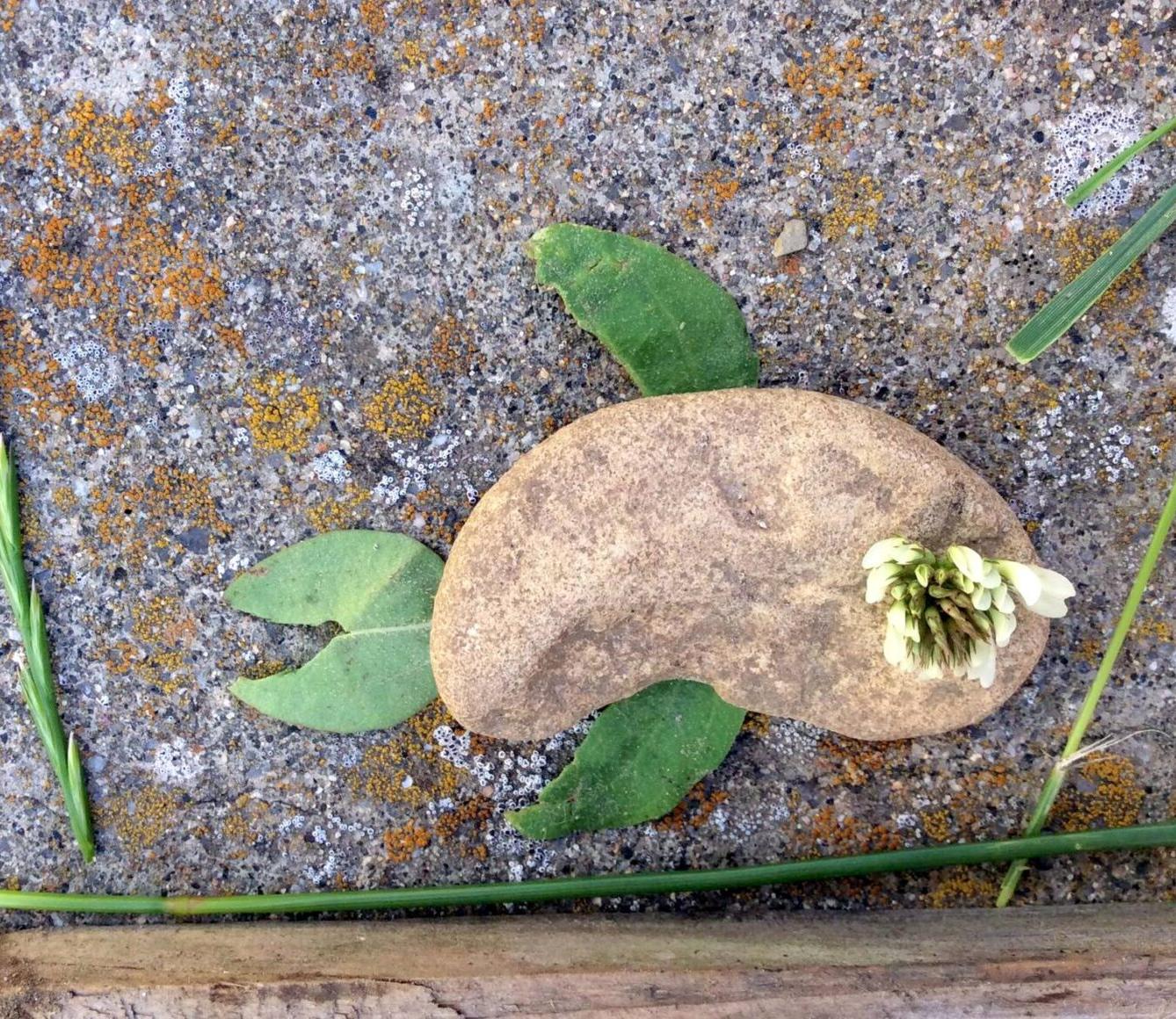 Království ryb u třeťáčků 13. 6. - 3