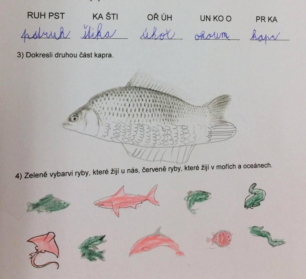 Království ryb u třeťáčků 13. 6. - 9