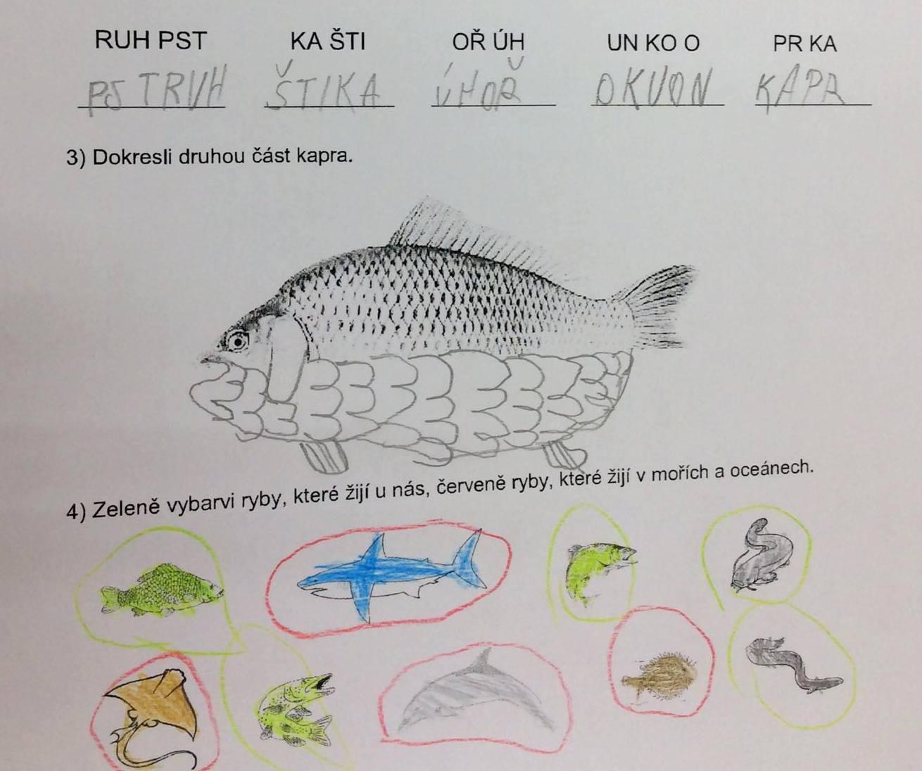 Království ryb u třeťáčků 13. 6. - 12
