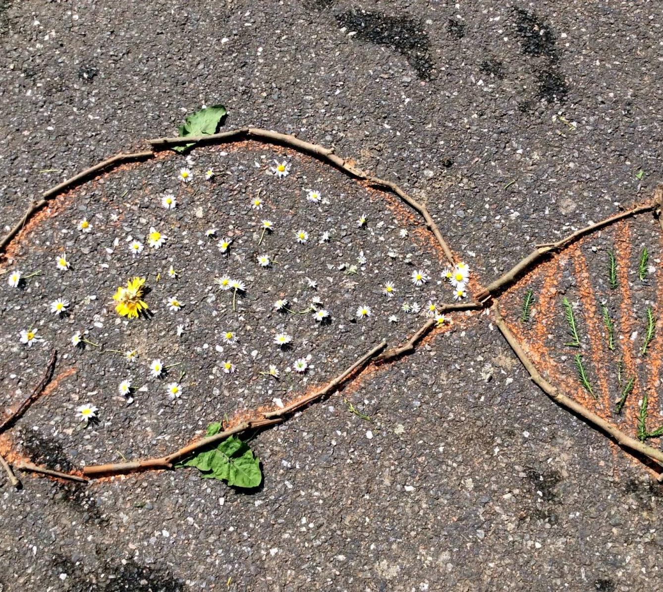 Království ryb u třeťáčků 13. 6. - 17