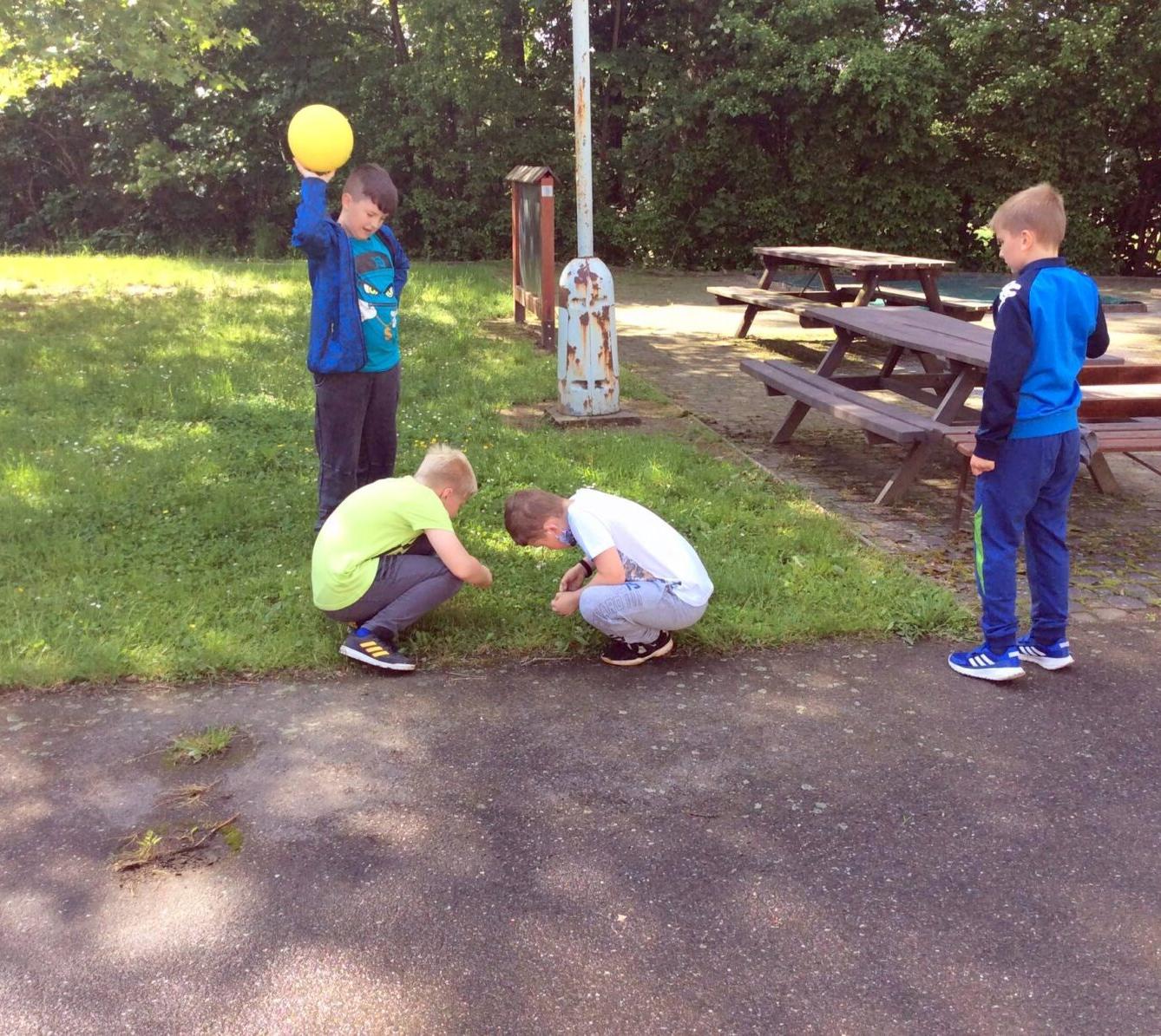 Království ryb u třeťáčků 13. 6. - 19