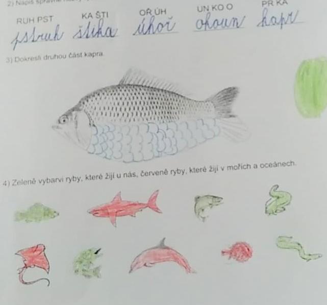 Království ryb u třeťáčků 13. 6. - 21