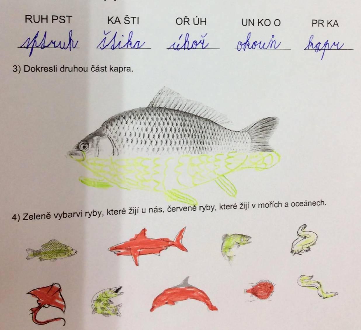 Království ryb u třeťáčků 13. 6. - 23