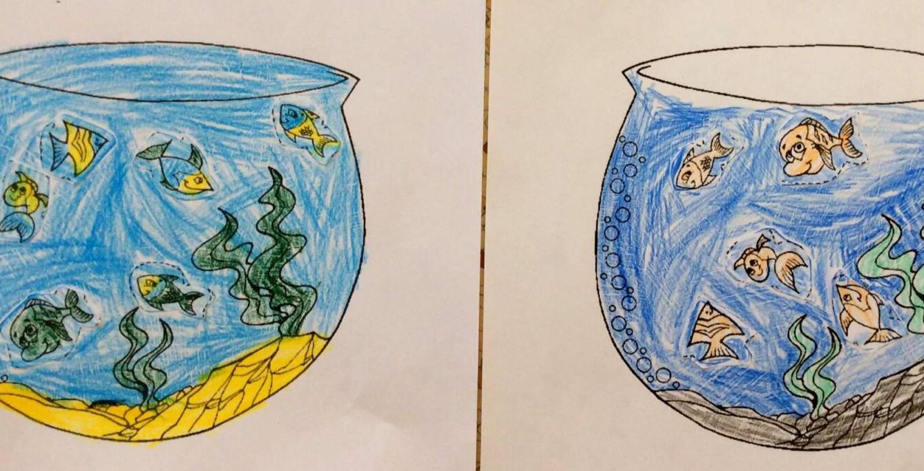 Království ryb u třeťáčků 13. 6. - 24