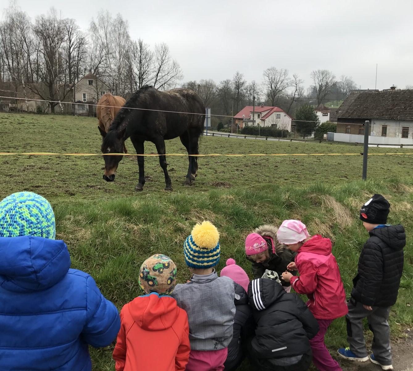 PŘEDŠKOLÁCI ,,VÝPRAVY ZA ZVÍŘÁTKY" - 3