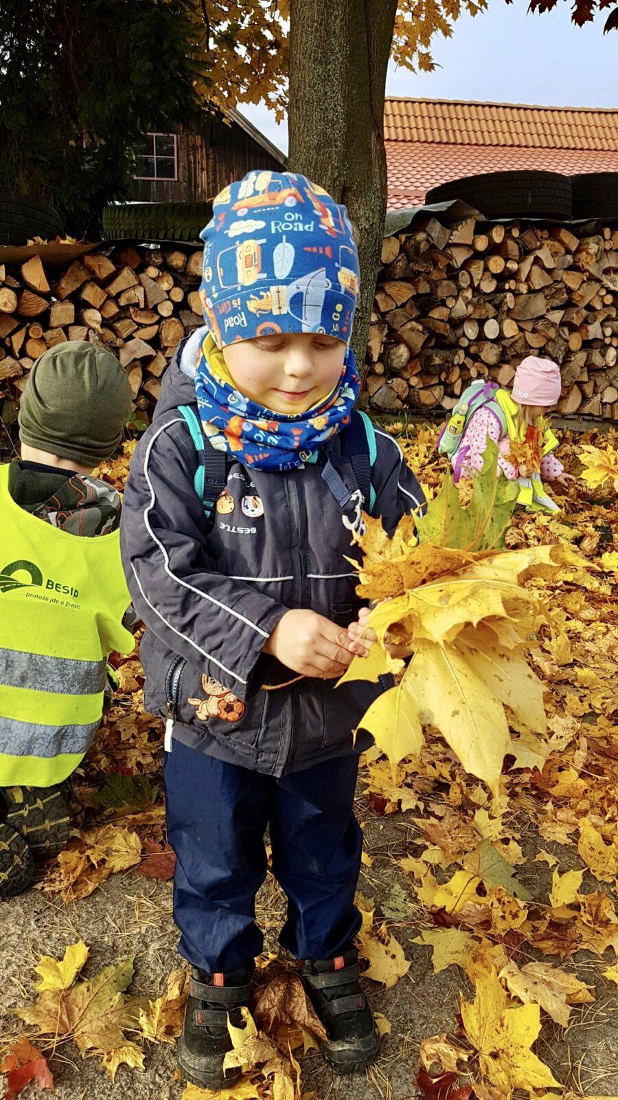 SOVIČKY: ,,LISTÍ ŽLOUTNE POLETUJE" - 4