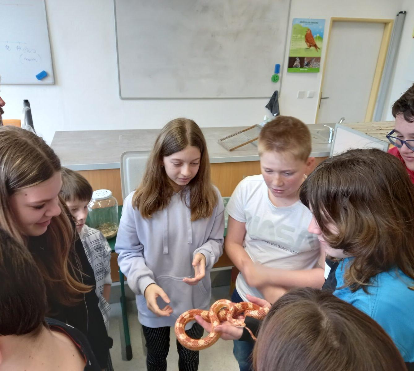 Přednáška o chovu terarijních zvířat - 3