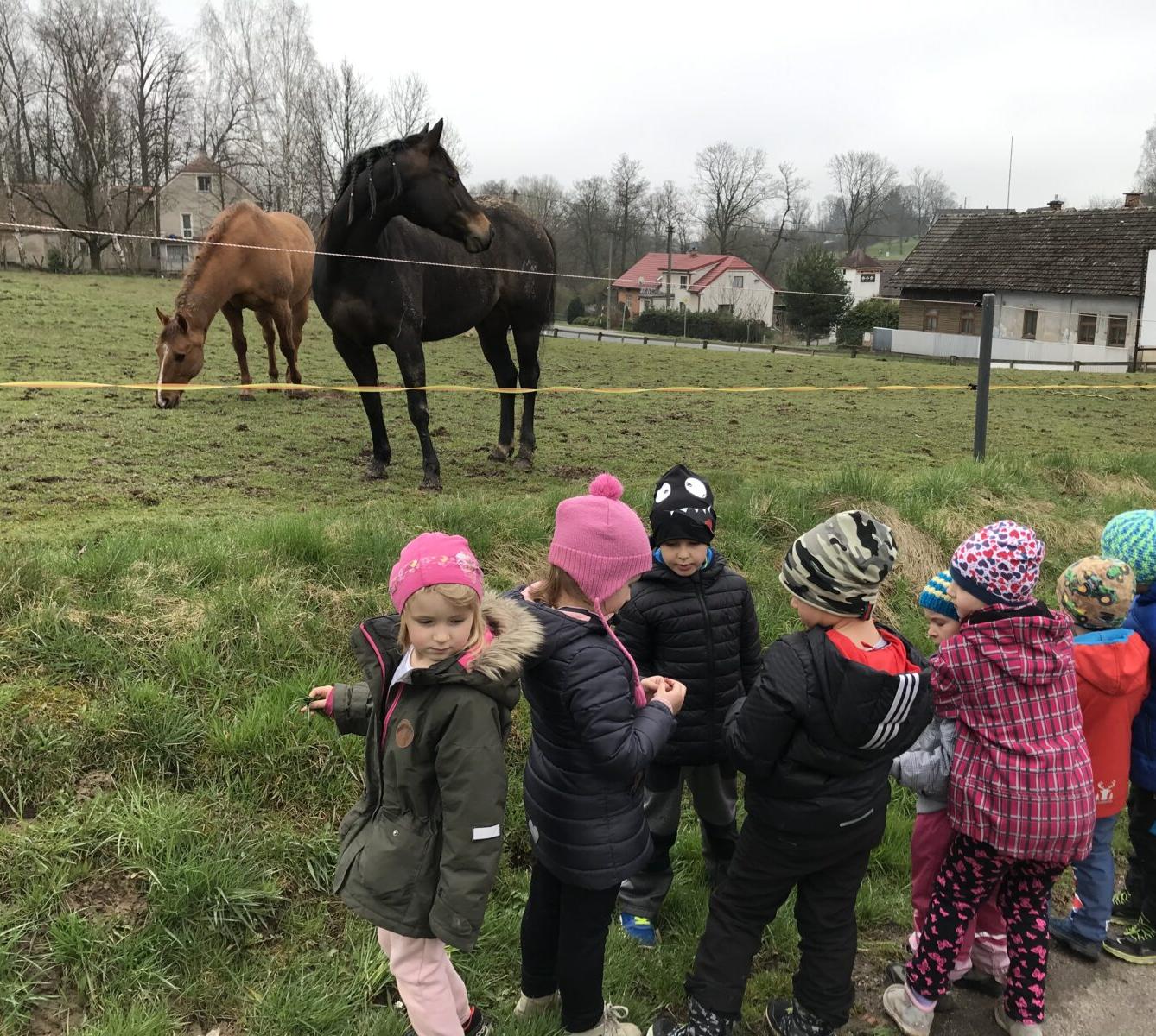 PŘEDŠKOLÁCI ,,VÝPRAVY ZA ZVÍŘÁTKY" - 4