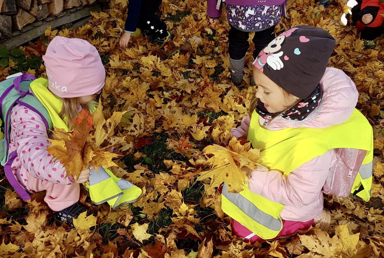 SOVIČKY: ,,LISTÍ ŽLOUTNE POLETUJE" - 5