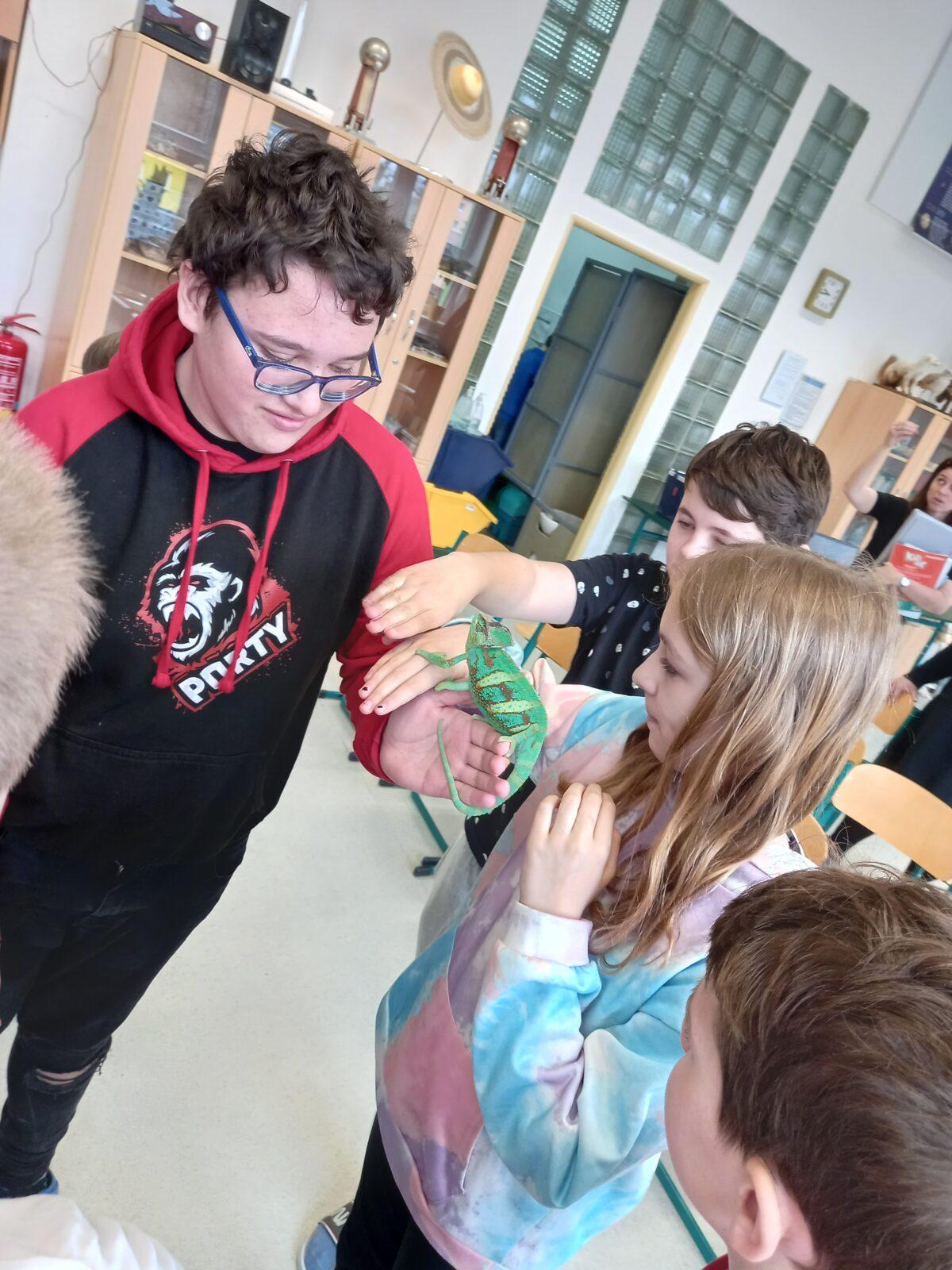 Přednáška o chovu terarijních zvířat - 4