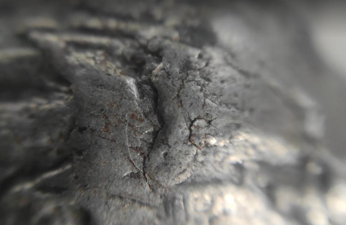 Domácí mikroskop - badatelský kroužek - 4