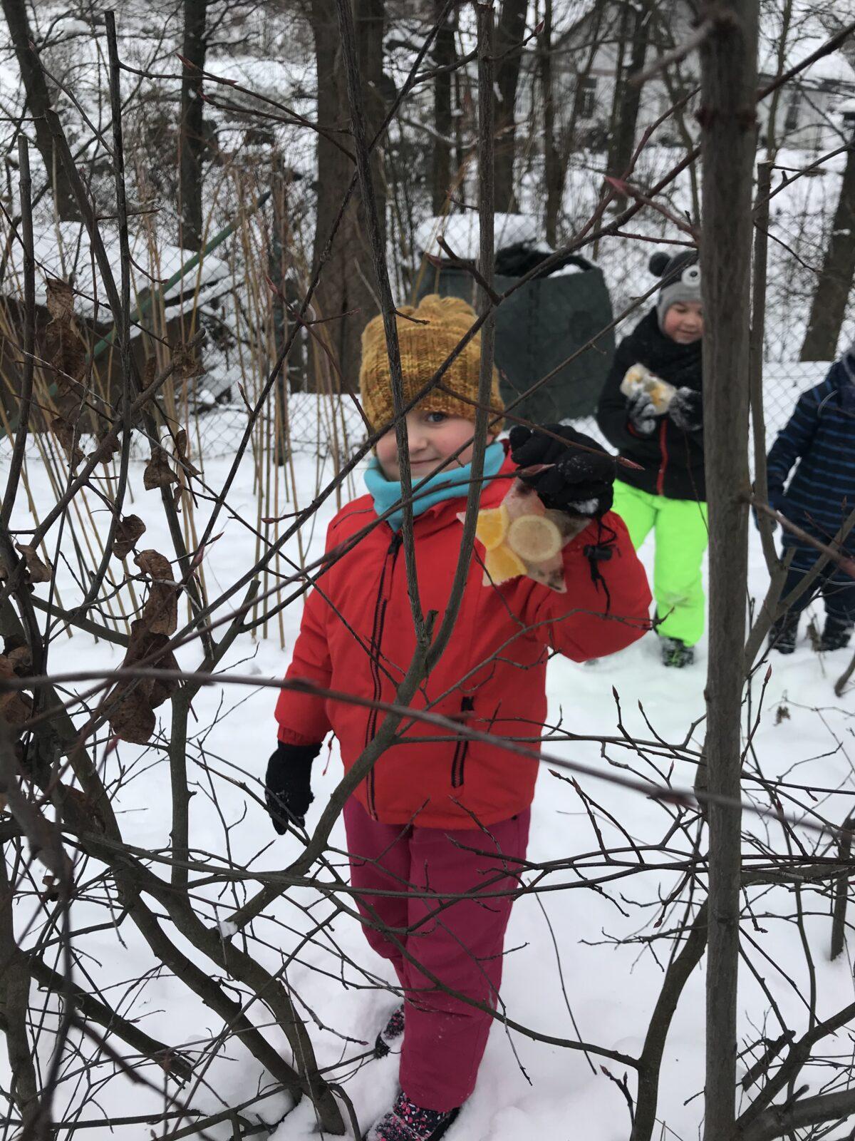 SOVIČKY: ,,VOŇAVÉ OZDOBY Z LEDU" - 5