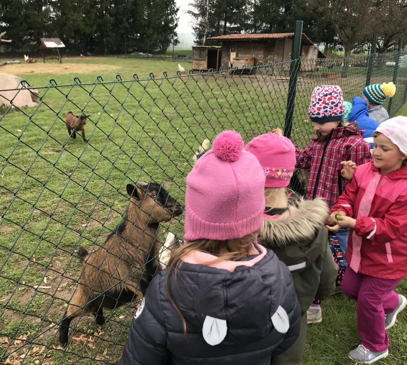 PŘEDŠKOLÁCI ,,VÝPRAVY ZA ZVÍŘÁTKY" - 5