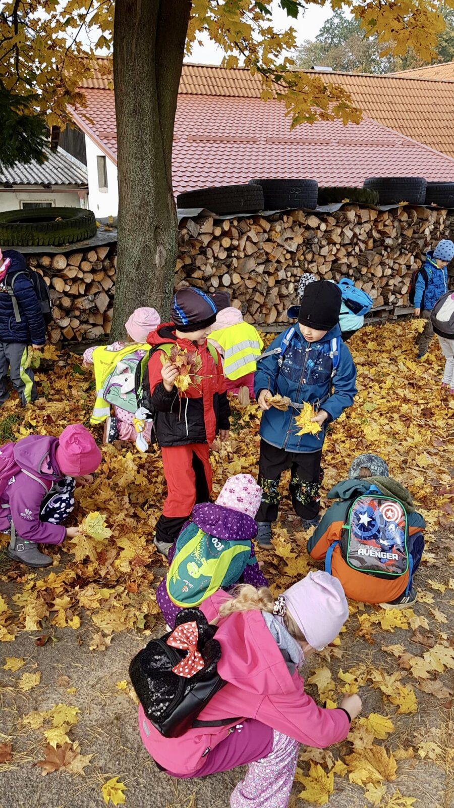 SOVIČKY: ,,LISTÍ ŽLOUTNE POLETUJE" - 6