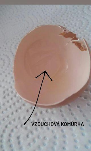 Laboratorní práce u sedmáků - 2