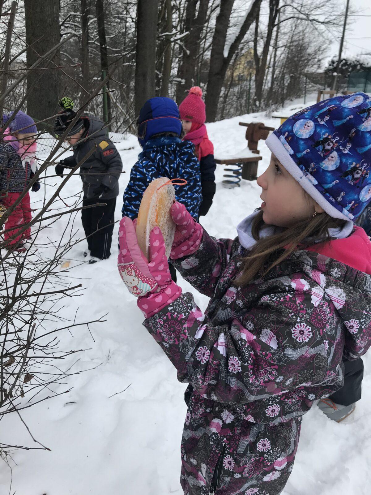 SOVIČKY: ,,VOŇAVÉ OZDOBY Z LEDU" - 6