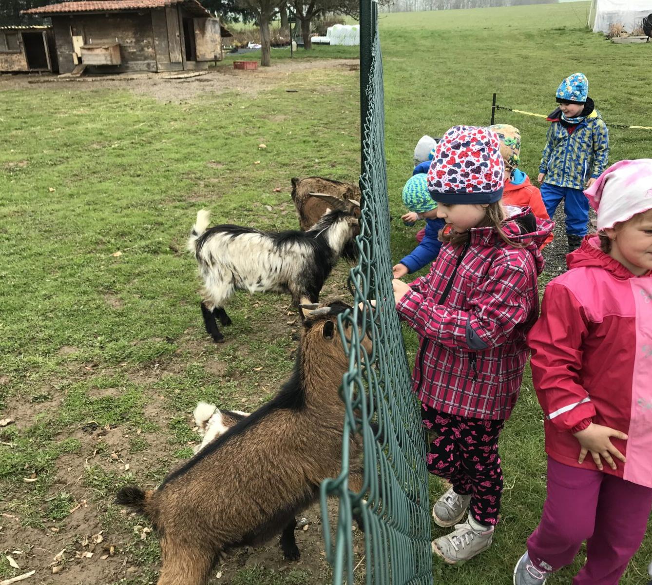 PŘEDŠKOLÁCI ,,VÝPRAVY ZA ZVÍŘÁTKY" - 6