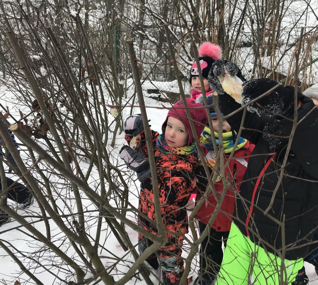 SOVIČKY: ,,VOŇAVÉ OZDOBY Z LEDU" - 7