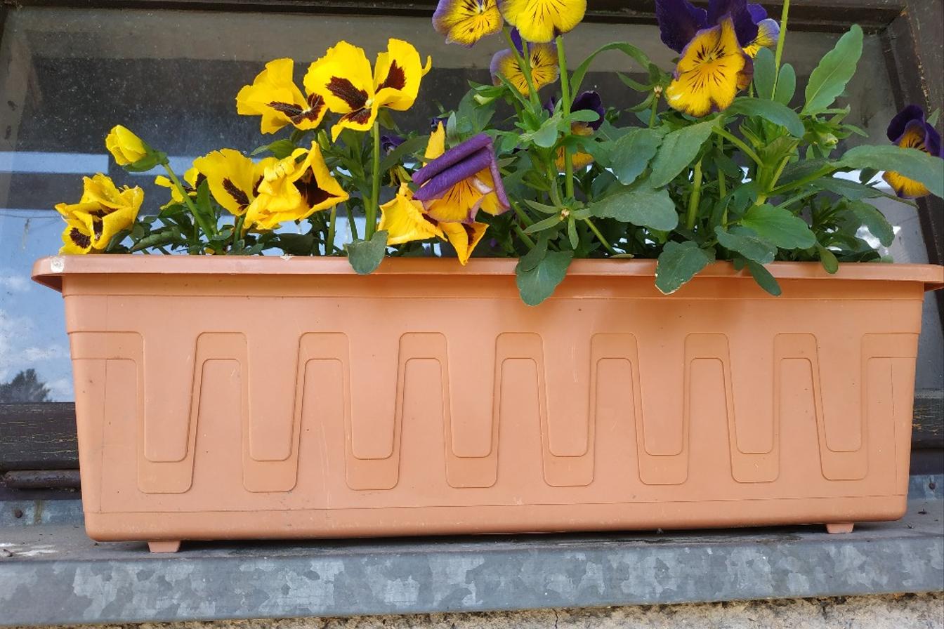 Photo challenge - lichoběžníky