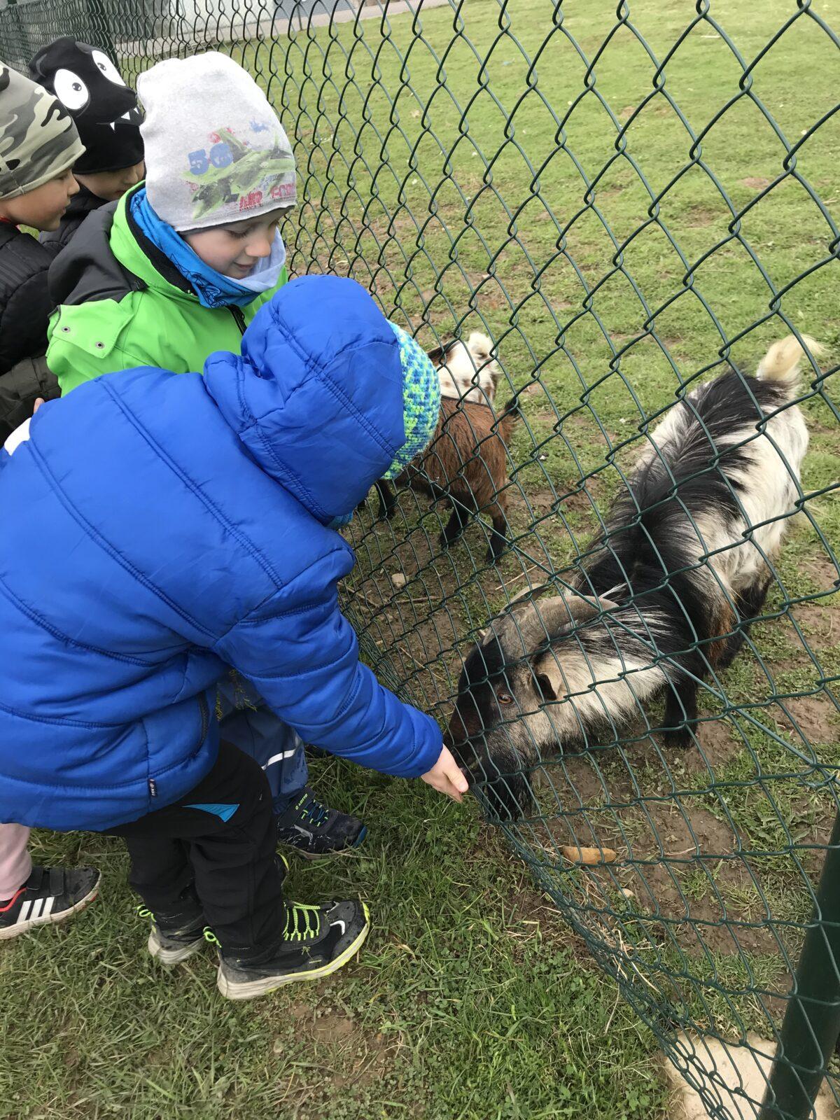 PŘEDŠKOLÁCI ,,VÝPRAVY ZA ZVÍŘÁTKY" - 8