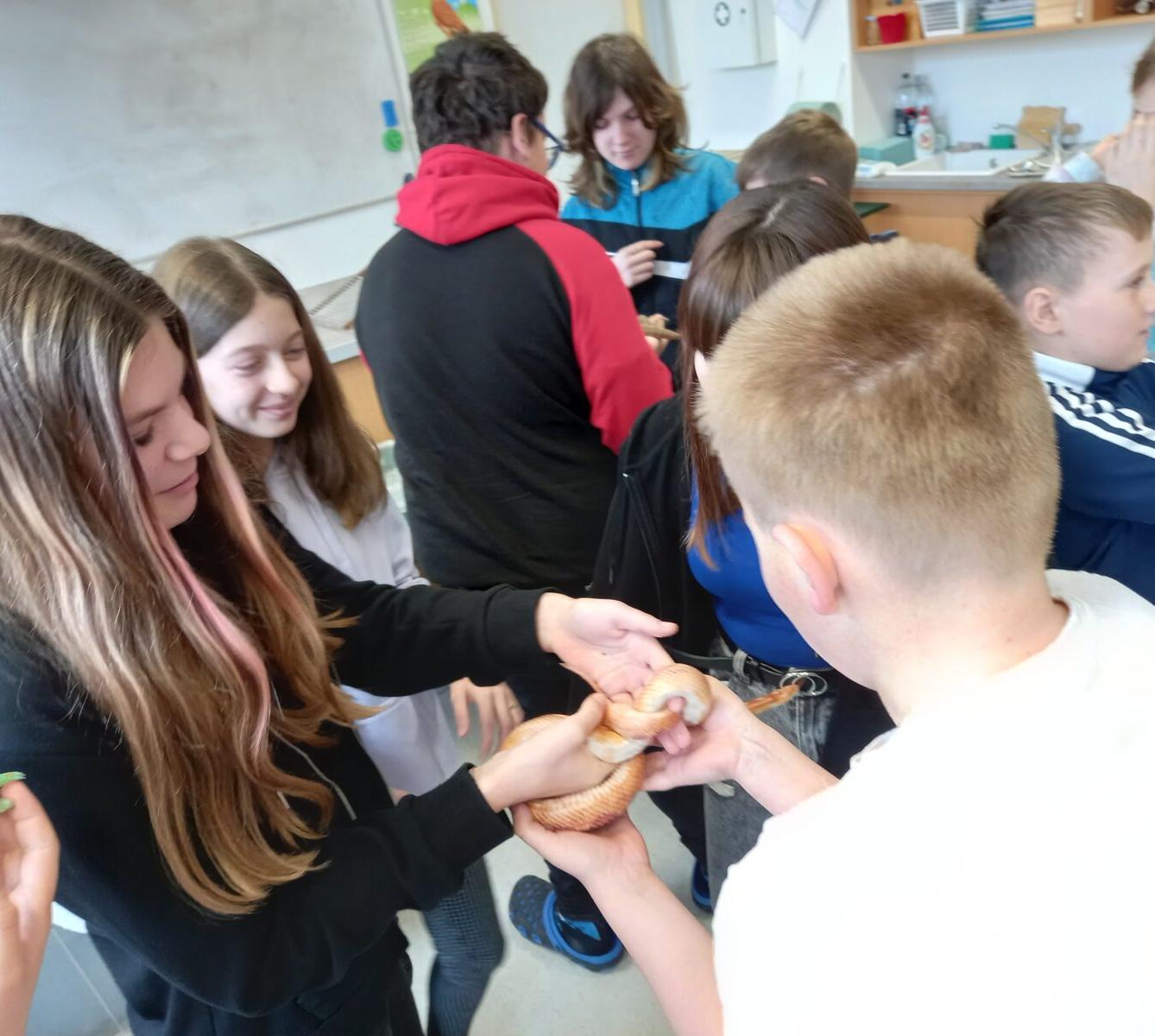 Přednáška o chovu terarijních zvířat - 8