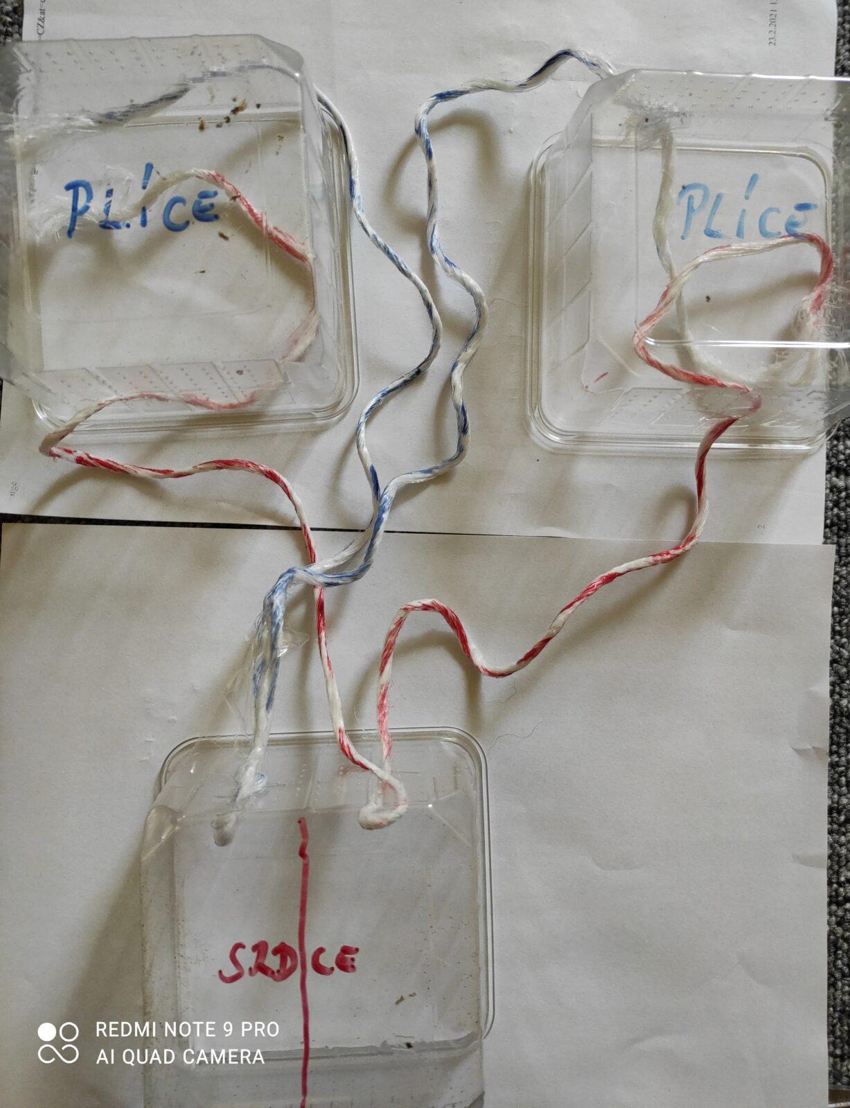 Biologie člověka - 8. třída - 1