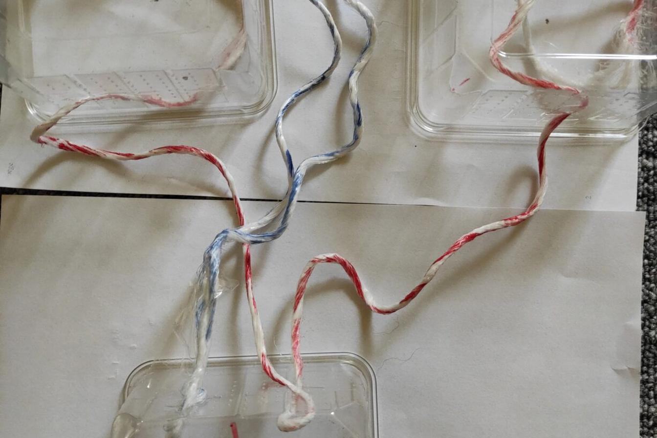 Biologie člověka - 8. třída