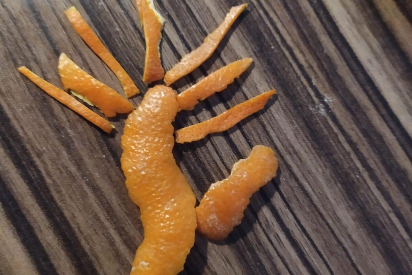 Přírodopis v 6. třídě