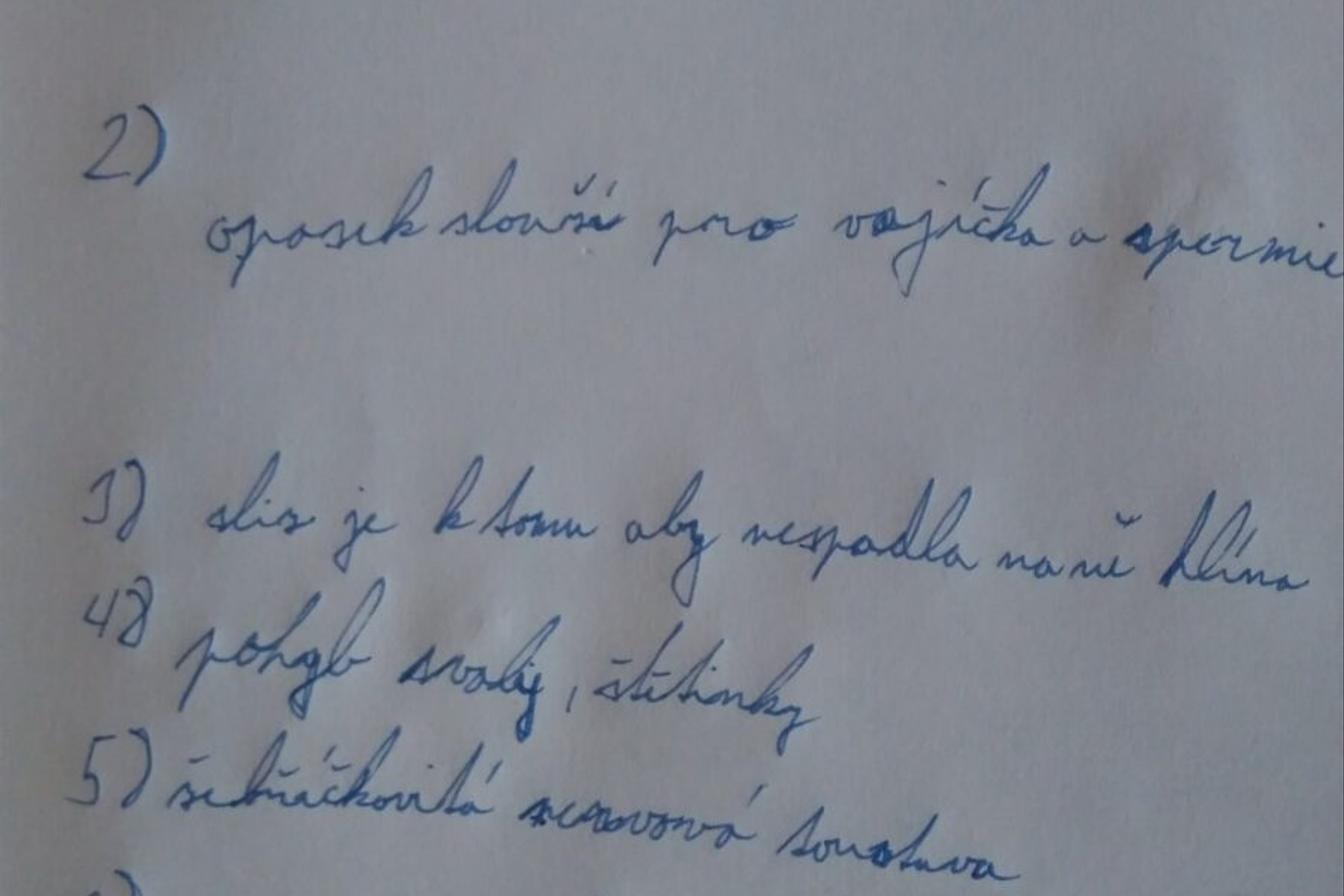 Pozorování žížaly - 6. třída