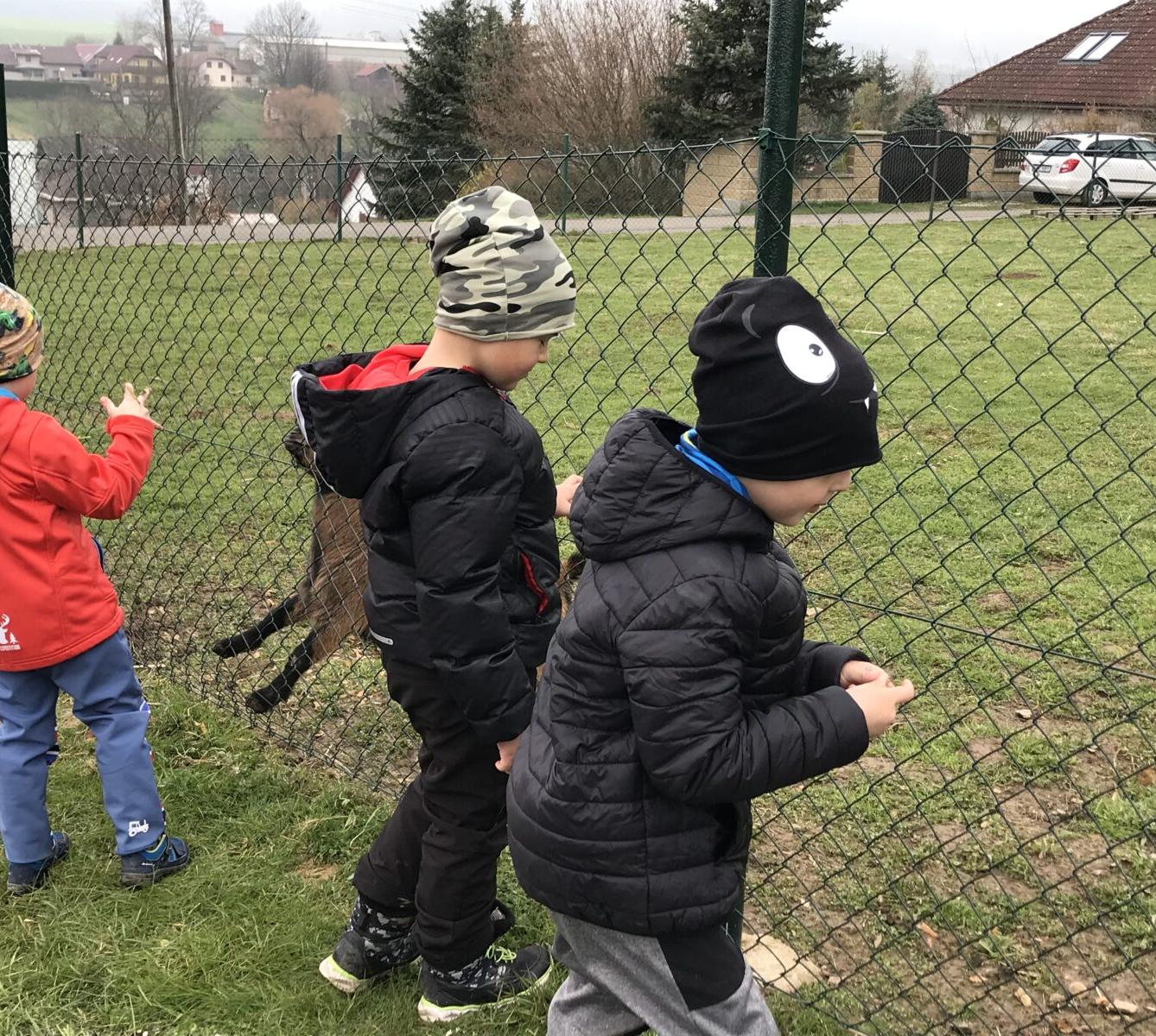 PŘEDŠKOLÁCI ,,VÝPRAVY ZA ZVÍŘÁTKY" - 9