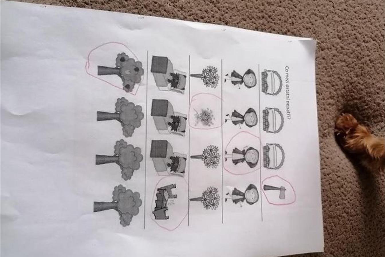 Domácí tvoření našich dětí