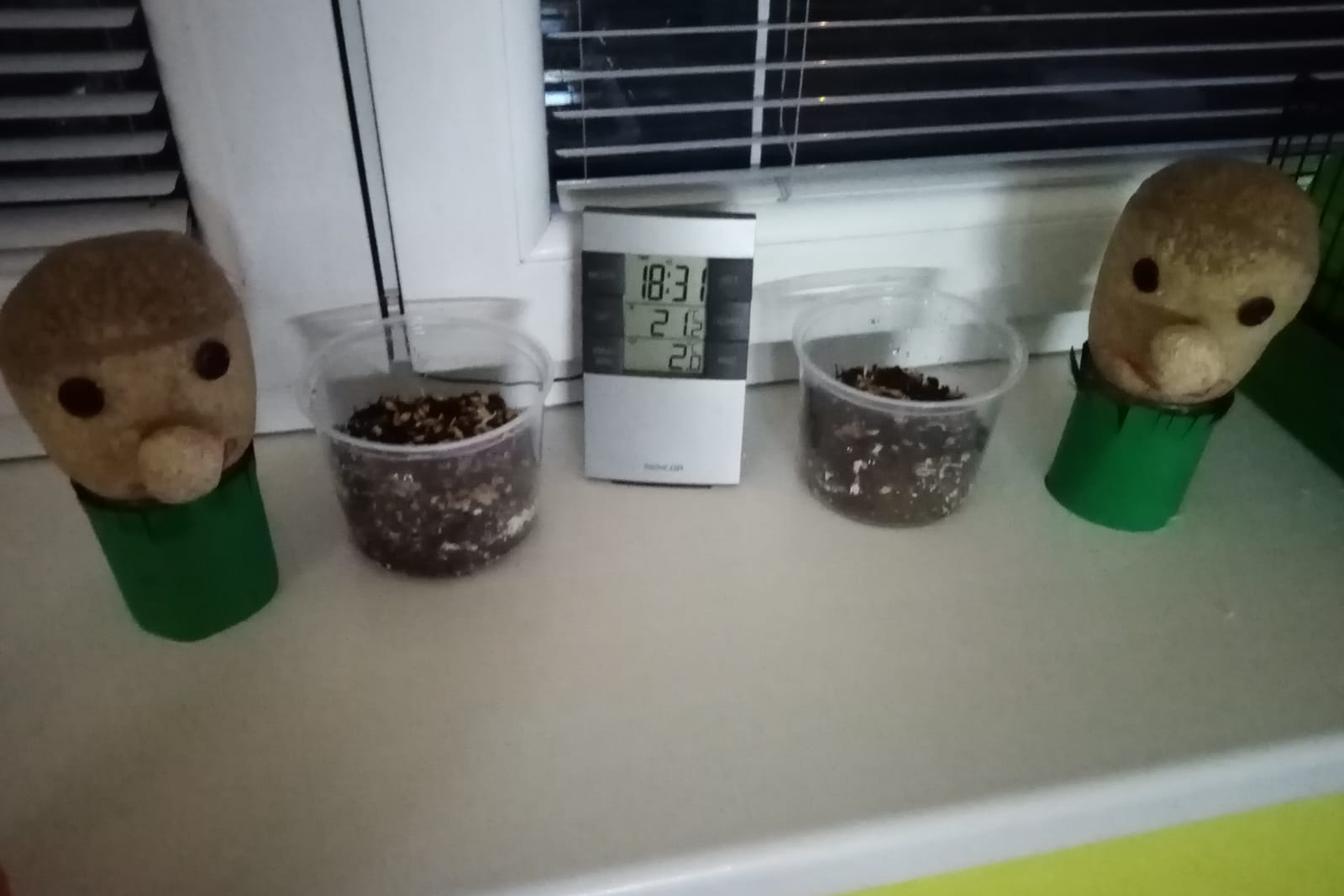 Další nabídka činností pro ostatní děti